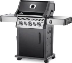 Napoleon Rogue SE 425 RSIB -Tefal Winkel 1414231