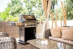 Napoleon Rogue SE 425 RSIB -Tefal Winkel 1414247