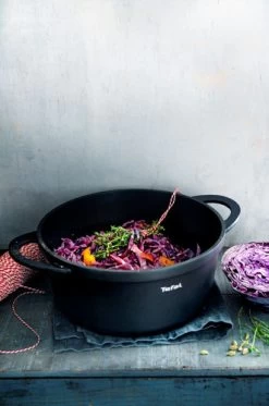 Tefal Trattoria Braadpan 24 Cm -Tefal Winkel 1508770