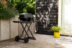 Napoleon Phantom TravelQ PRO285X -Tefal Winkel 1561042