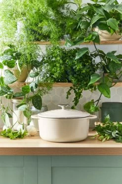 Tefal LOV Lage Braadpan 28 Cm Beige -Tefal Winkel 1803337