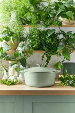 Tefal LOV Braadpan 29 Cm Groen -Tefal Winkel 1803396