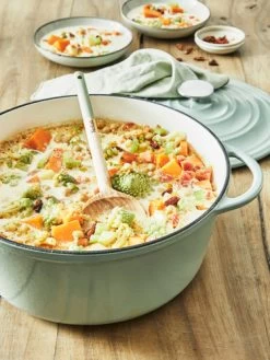 Tefal LOV Braadpan 29 Cm Groen -Tefal Winkel 1803398