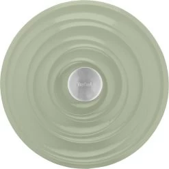 Tefal LOV Braadpan 25 Cm Groen -Tefal Winkel 1804513