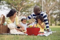 LotusGrill Classic 35cm Rood -Tefal Winkel 1833088