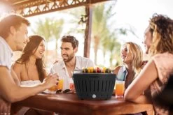 LotusGrill XL 43cm Antraciet -Tefal Winkel 1833096