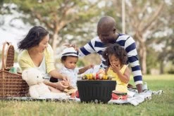 LotusGrill XL 43cm Antraciet -Tefal Winkel 1833098