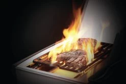 Napoleon Rogue SE 525 RSIB -Tefal Winkel 1889934