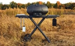 Napoleon Phantom TravelQ PRO285X -Tefal Winkel 1893514