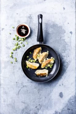 BK Brilliant Koekenpan 24 Cm -Tefal Winkel 1924098