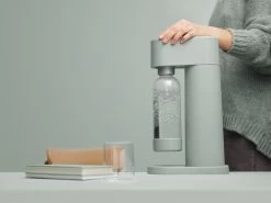 Mysoda Woody Pigeon -Tefal Winkel 1934737