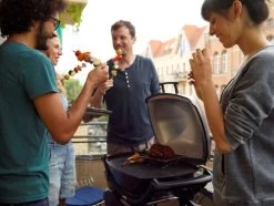 Weber Q2400 + Hoes -Tefal Winkel 283932