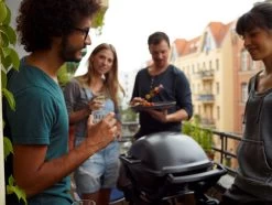 Weber Q2400 + Hoes -Tefal Winkel 283933