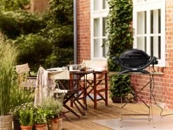 Weber Q1400 + Hoes 33 Weber Q1400 + Hoes -Tefal Winkel 374718