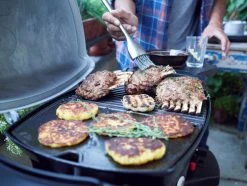 Weber Q1200 -Tefal Winkel 375382