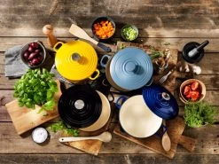 BK Bourgogne Braadpan 28 Cm Royal Blue -Tefal Winkel 938861