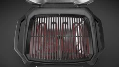 Weber Pulse 2000 Met Onderstel -Tefal Winkel 962323 1