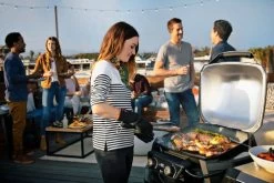 Weber Pulse 2000 Met Onderstel -Tefal Winkel 962329 1