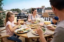 Weber Pulse 2000 Met Onderstel -Tefal Winkel 962349 1