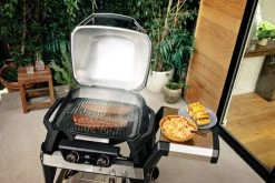 Weber Pulse 2000 + Onderstel + Hoes -Tefal Winkel 963125