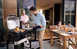 Weber Pulse 2000 + Onderstel + Hoes -Tefal Winkel 963126