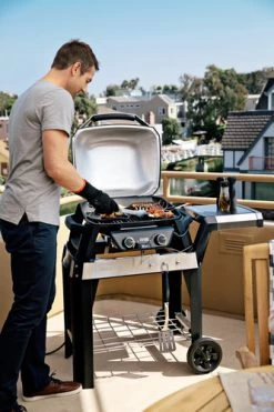 Weber Pulse 2000 Met Onderstel -Tefal Winkel 963128 1