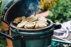 Big Green Egg Mini + Onderstel -Tefal Winkel 999327